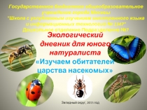 Экологический дневник для юного натуралиста «Изучаем обитателей царства насекомых»