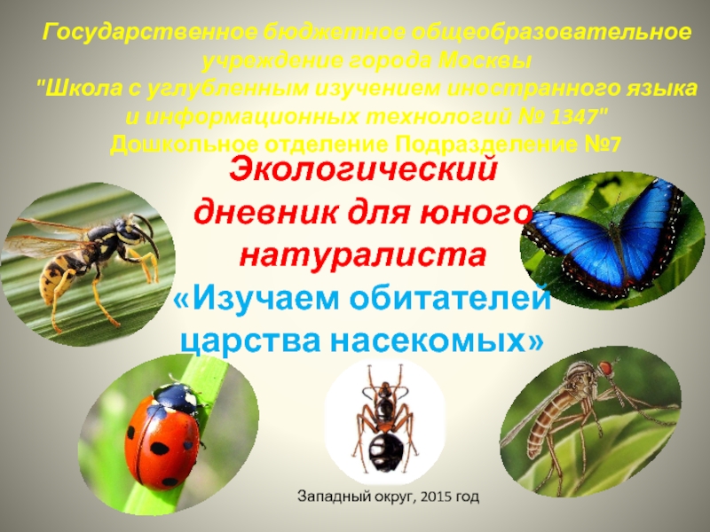 Презентация Экологический дневник для юного натуралиста «Изучаем обитателей царства насекомых»