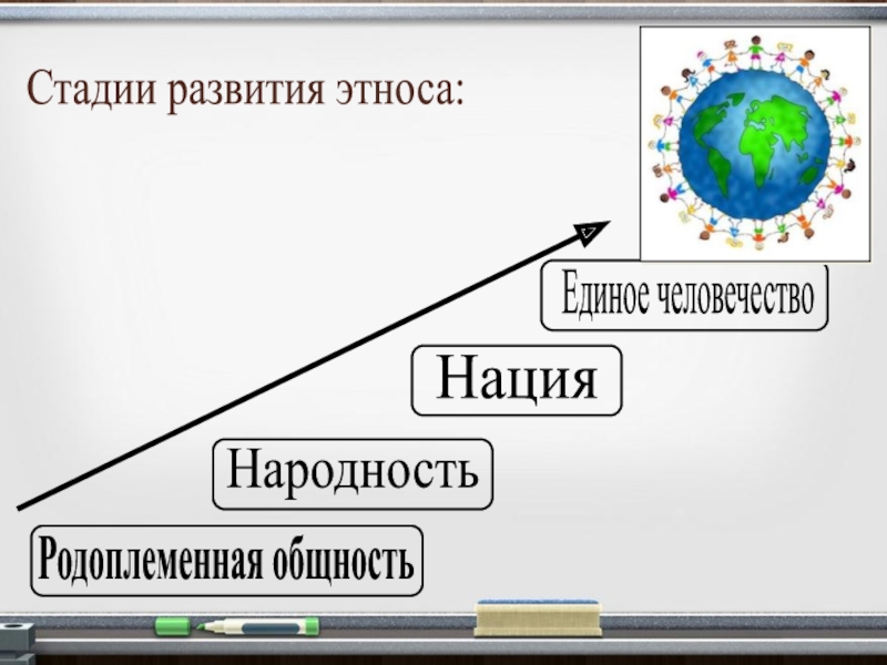 Стадии этноса