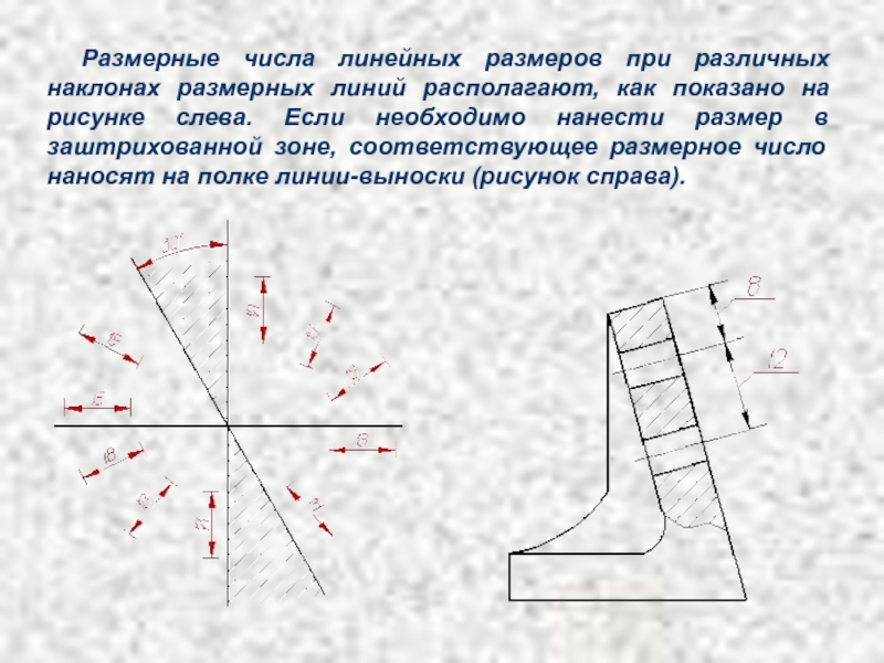 Размерное число правильно нанесено на рисунке