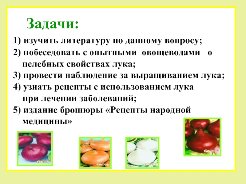 Задачи:1) изучить литературу по данному вопросу; 2) побеседовать с опытными овощеводами  о целебных свойствах лука; 3)