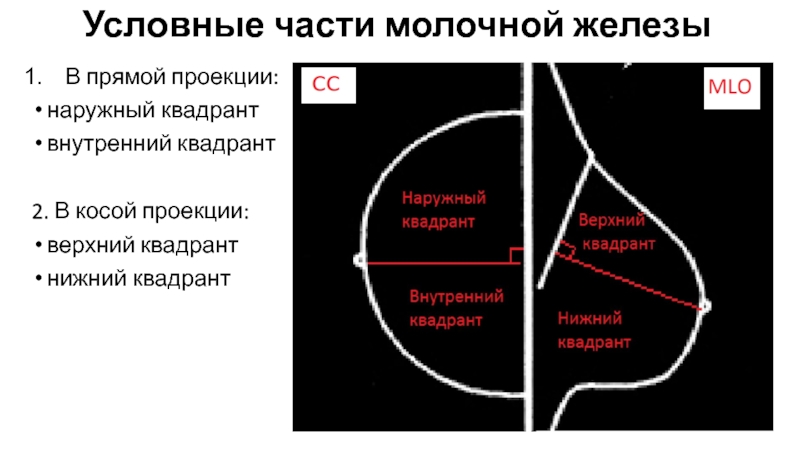 Верхний наружный квадрант ягодицы фото