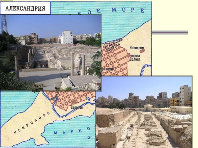 В александрии египетской презентация