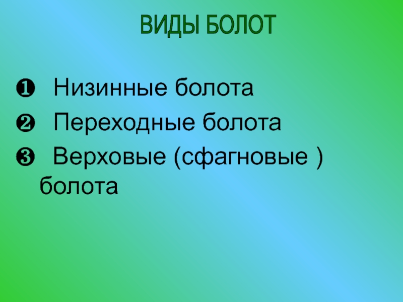 Верховое болото экосистема. Биогеоценоз болота характеристика. Экосистема болота. Верховые и низинные болота. Переходное болото.