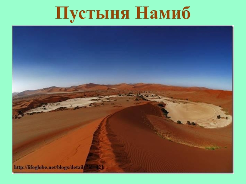 Презентация по географии на тему: Пустыня Намиб (7 класс)