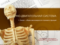 ОПОРНО-ДВИГАТЕЛЬНАЯ СИСТЕМА