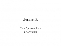 Тип Apocomplexa Споровики