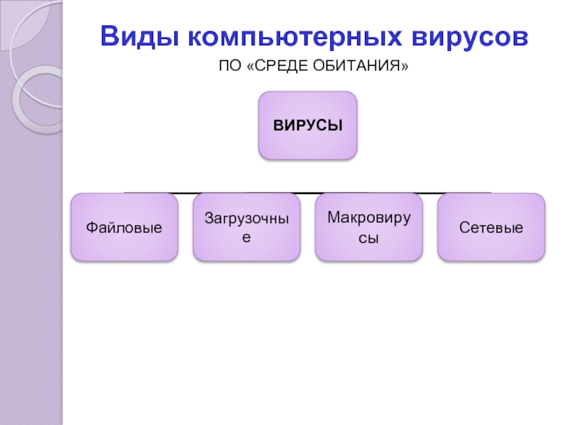 Виды компьютерных вирусов. Виды компьютерных. Среда обитания компьютерных вирусов. Компьютерные вирусы по среде обитания. Компьютерные вирусы по среде обитания таблица.