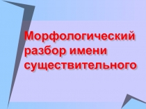 Морфологический разбор имени существительного