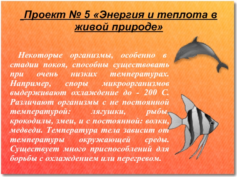 Некоторые организмы. Некоторые организмы особенно в стадии. Мощность в живой природе. Эврифотный организм способен существовать:. Эврифотный организм способен существовать где.