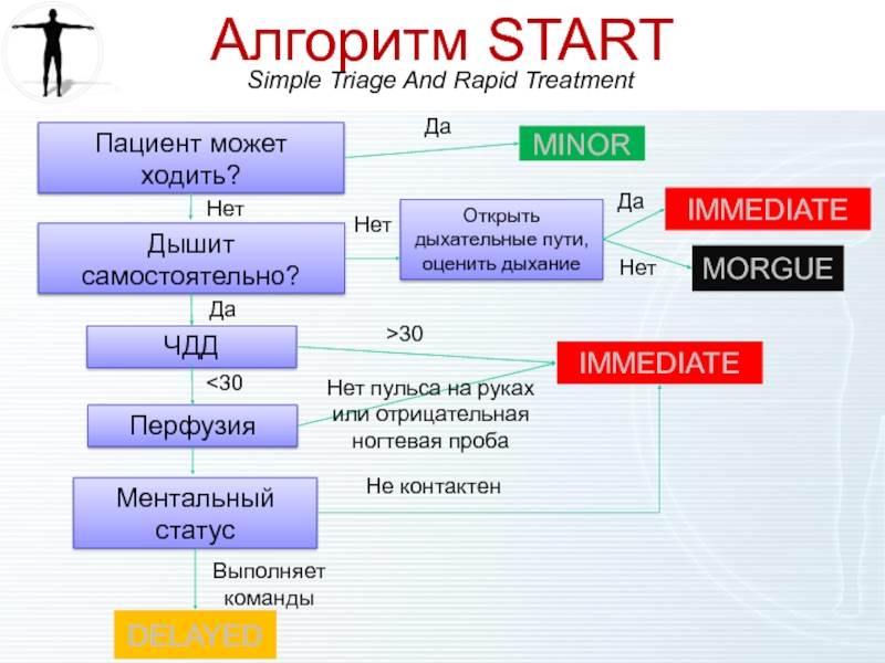 Start чей проект