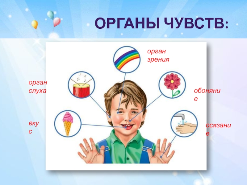 4 органа чувств. Разные органы чувств. Органы чувств у человека названия. Голова с органами чувств. Семь органов чувств у человека.