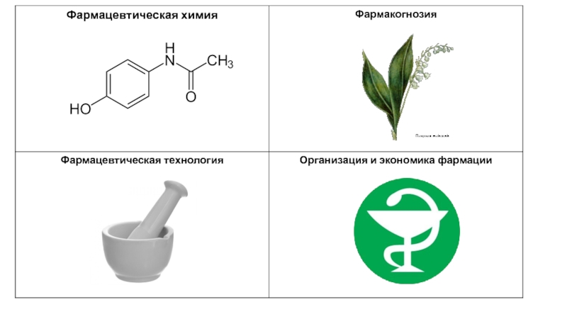 Фармацевтическая химия и фармакогнозия учебный план