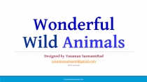 Wonderful Wild Animals