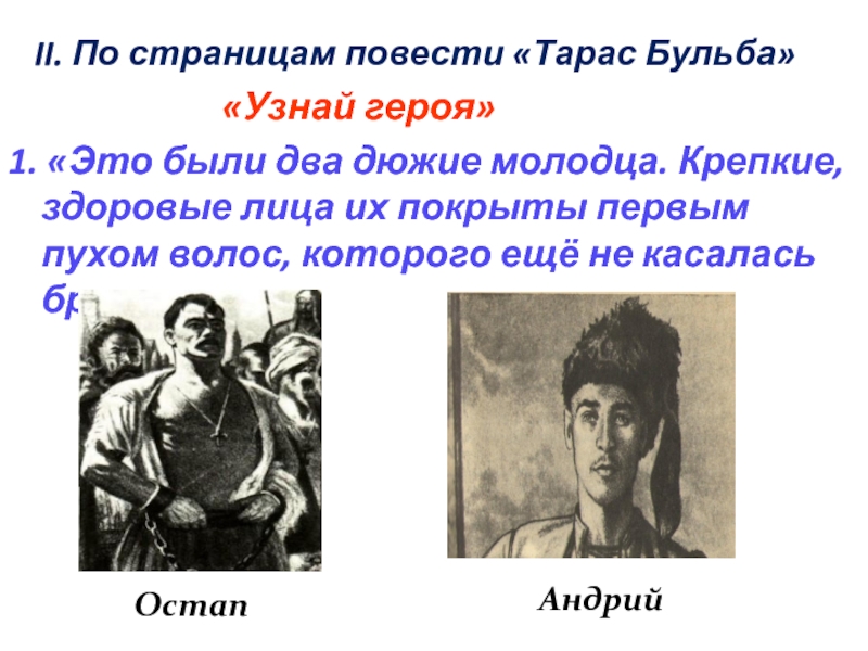 Описание андрия из тараса бульбы. Презентация по повести Тарас Бульба. Образ Андрия из Тараса бульбы.