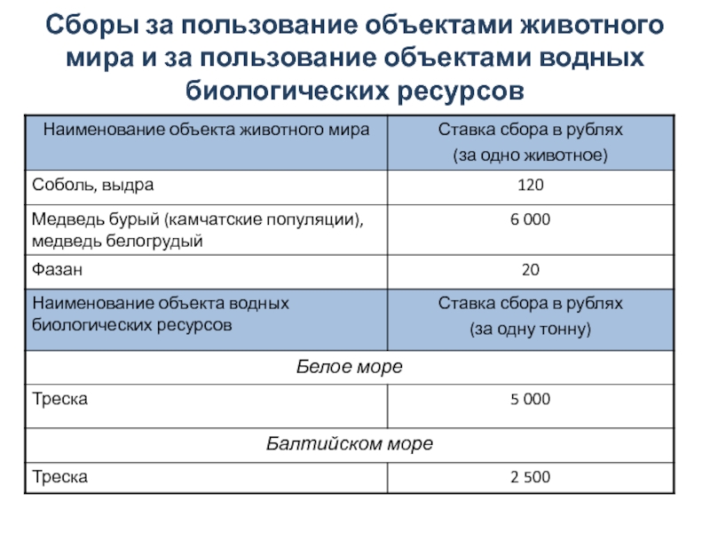 Получение водного объекта в пользование