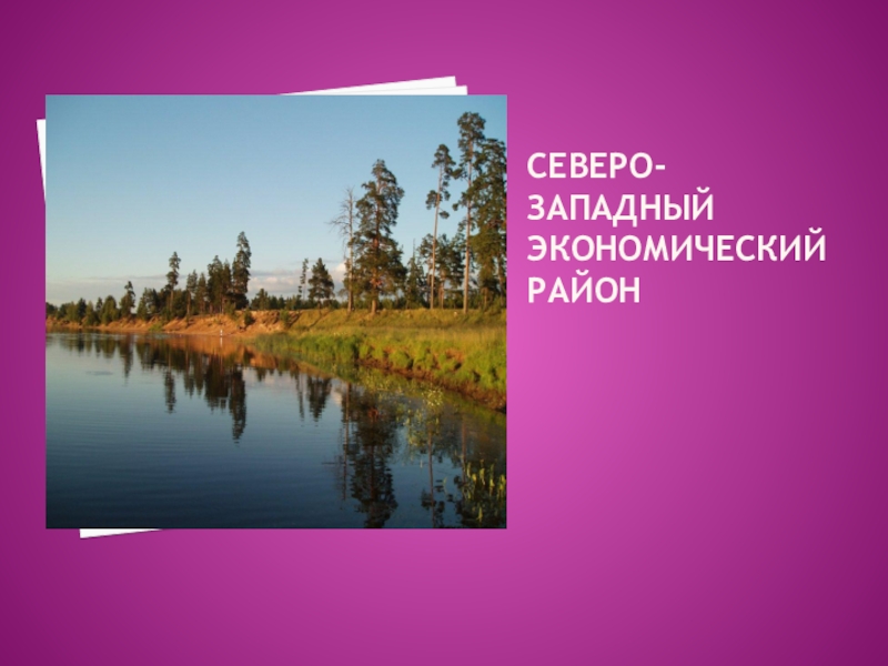 Реки северо западного экономического. Леса Северо Западного экономического района. Северо-Западный экономический район фото. Северо-Западный экономический район животные.