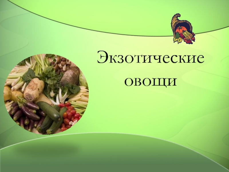 Презентация Экзотические овощи