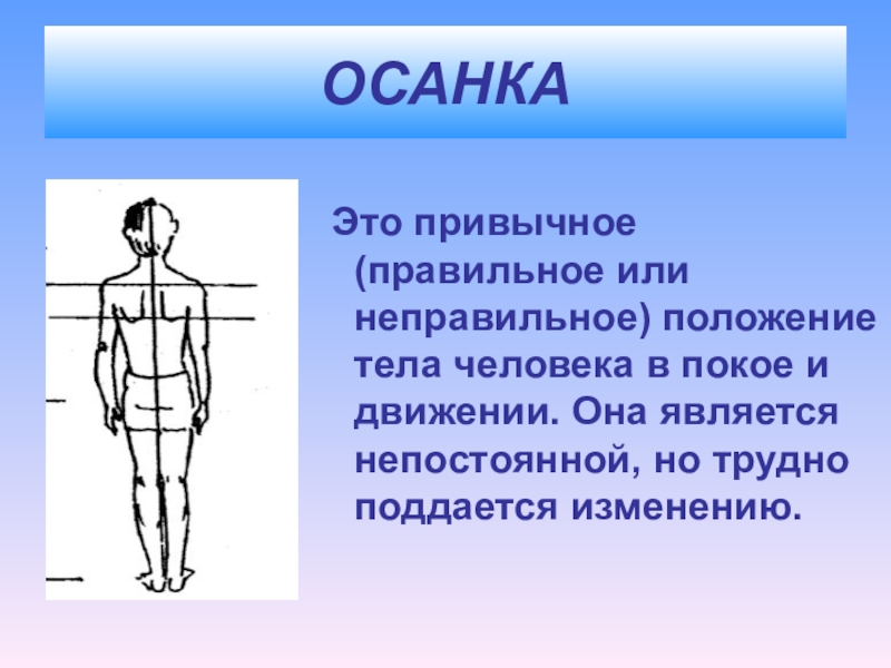 Что такое осанка. Осанка. Положение тела человека. Привычное положение тела. Правильное положение тела человека.