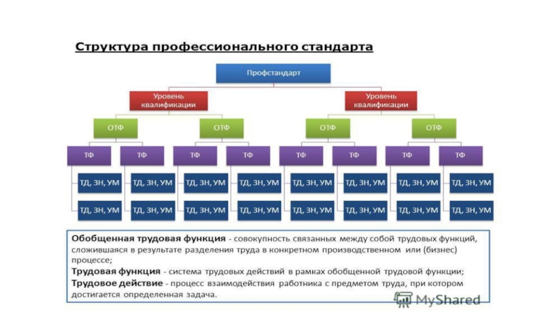 Профессиональная структура. Структура профессионального стандарта. Структура профессионального стандарта педагога. Структура профстандарты. Структура и содержание профессионального стандарта.