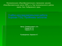 Презентация исследовательской работы 