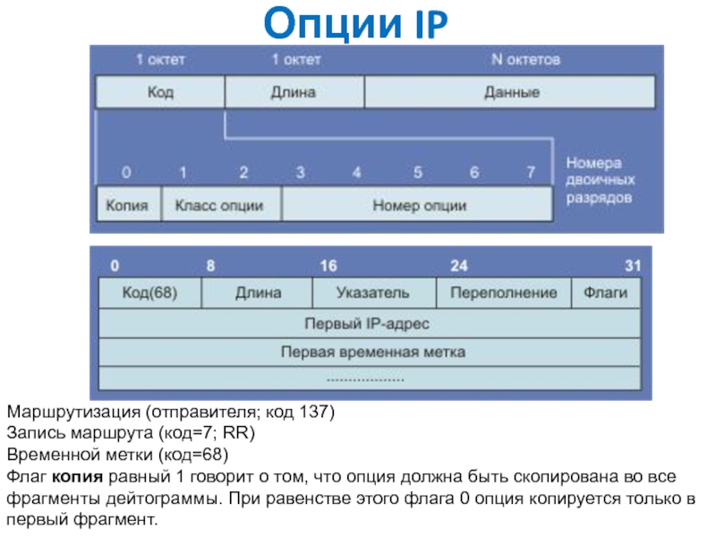 Запись пути. Код отправителя. Код маршрута. Опция. Код 137.