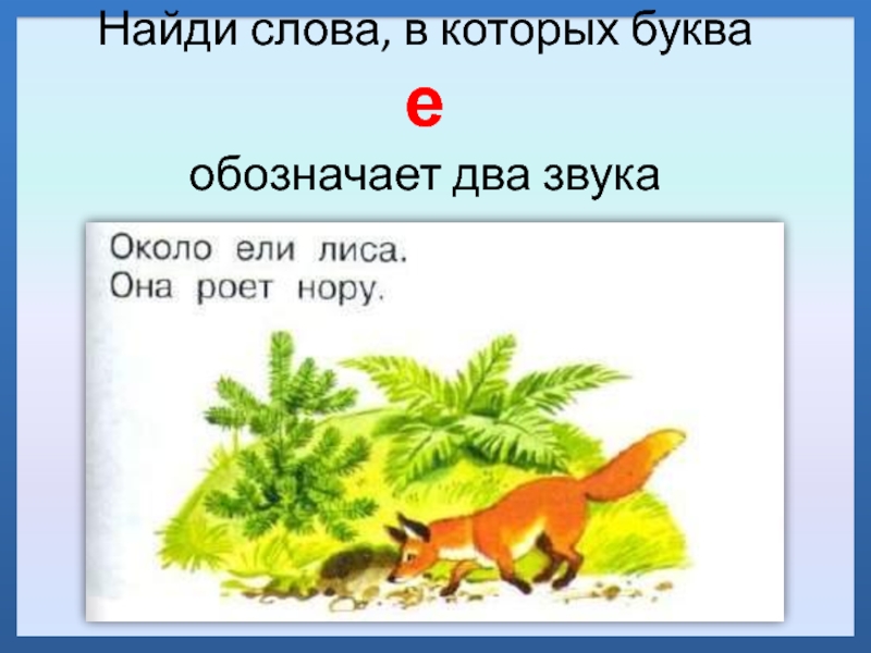 Слова без буквы е. Ищем в тексте букву е. Найди слова в которых буква е обозначает два звука. Найди слово в котором буква е обозначает 2 звука. Слова в которых буква е обозначает 2 звука около ели лиса она роет нору.