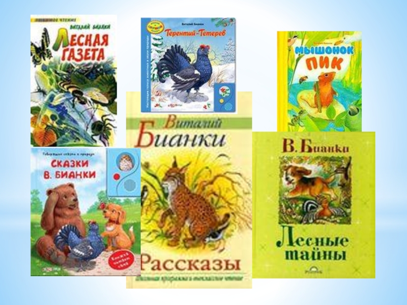 Бианки рассказы о природе. Произведения Виталия Бианки 2 класс. Бианки в. в. 