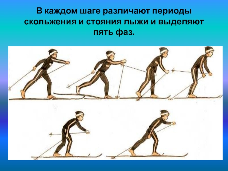 Шаг в период 3. Виды лыжных шагов. «Период стояния» лыжи. Понятие период скольжения период стояние лыжи. Разновидности лыжных ходов.