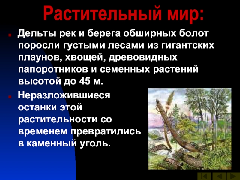 Здесь среди болот поросших богатой растительностью. Эволюция растений в палеозойскую эру. Растительный мир палеозойской эры презентация. Палеозойская Эра природные условия на земле. Охарактеризуйте эволюцию растений в палеозойскую эру..