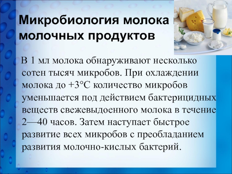 Микробиология продуктов питания презентация