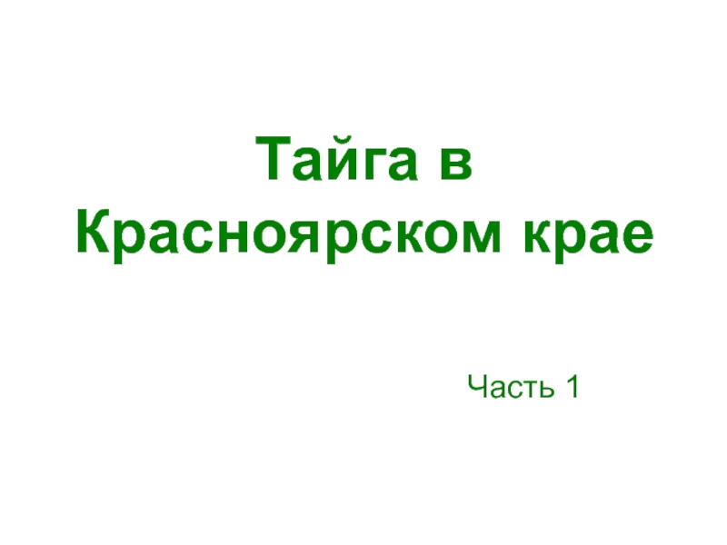Презентация Тайга в Красноярском крае