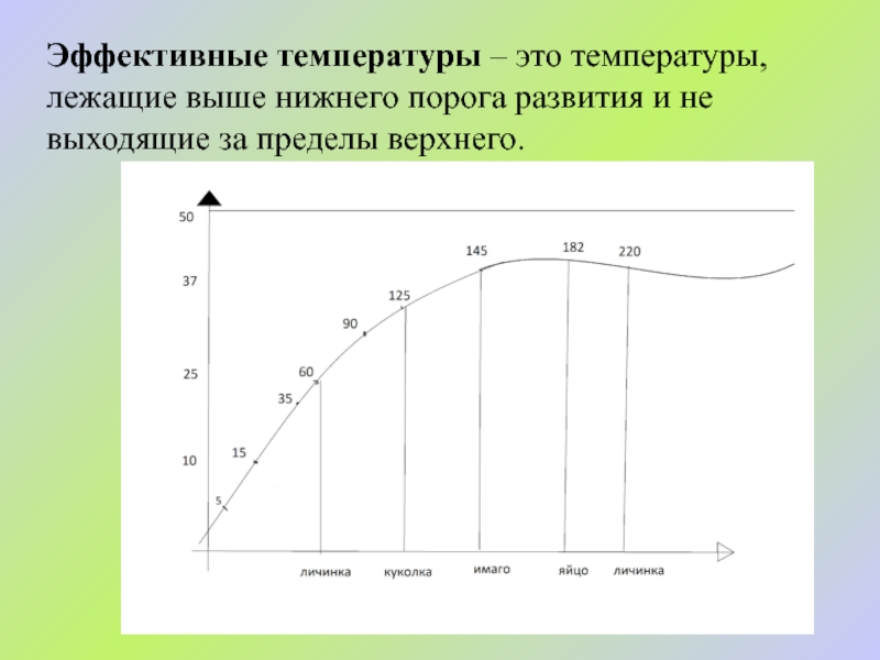 Высокий низкий порог