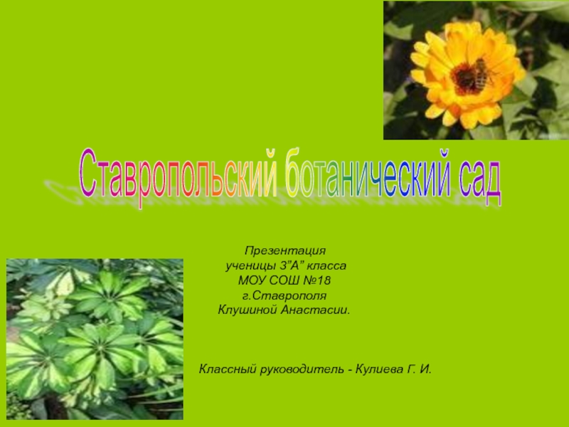 Презентация Ставропольский ботанический сад