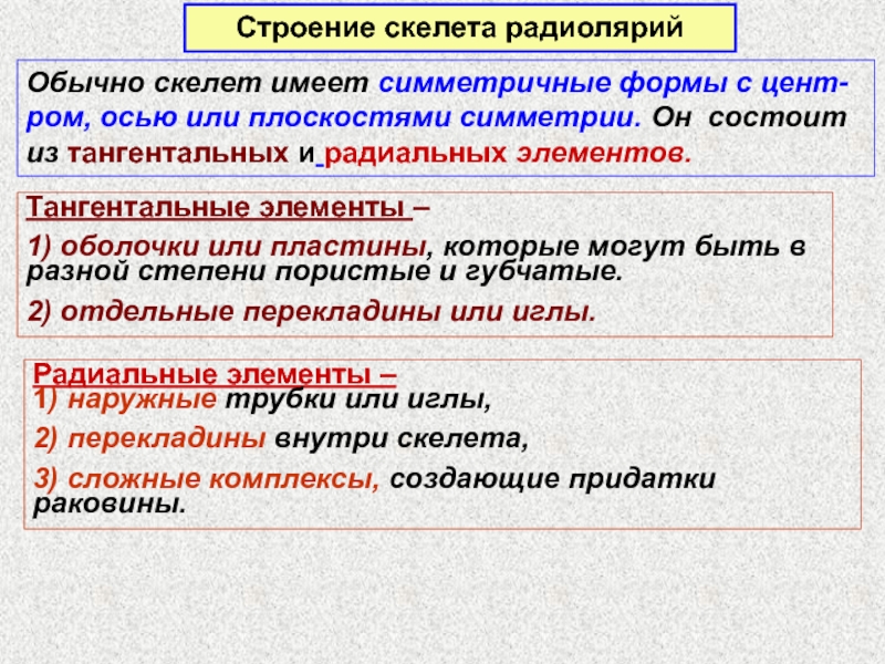 Неплохой у него симметричная форма. Неплохой у него симметричная форма