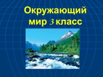 Презентация по окружающему миру 