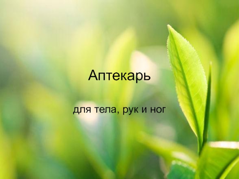 Презентация Аптекарь