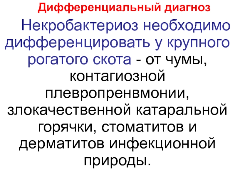 Презентация на тему некробактериоз