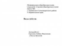 Презентация к уроку в 6-ом классе по теме 