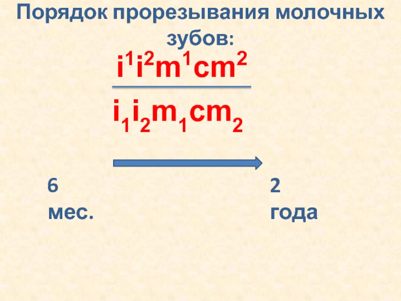 Порядок 29