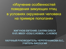 Изучение особенностей поведения зимующих птиц в условиях окружения человека на примере поползня