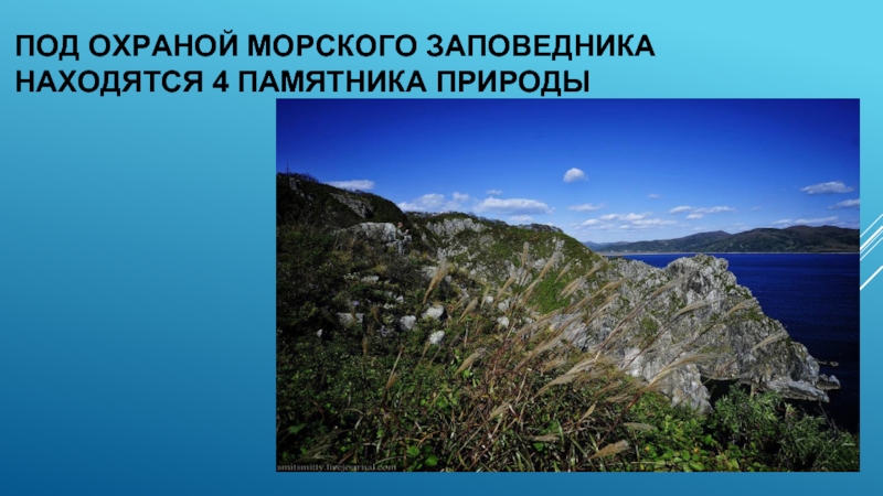 Дальневосточный морской заповедник доклад презентация