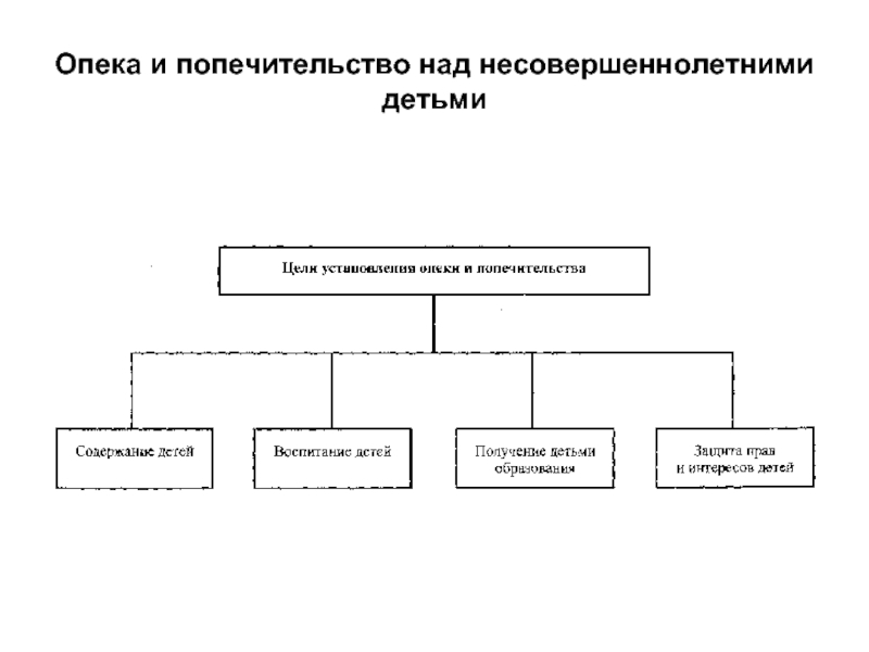 Опека и попечительство над несовершеннолетними презентация