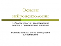 Основы нейропсихологии