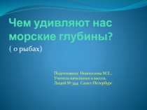 Чем удивляют нас морские глубины?