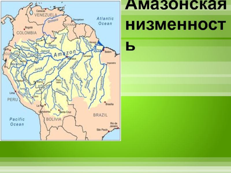 Где на карте находится амазонская равнина. Равнина Амазонская низменность. Амазонская низменность на карте. Амазонская равнина на карте. Амазонская не зменность на карте.