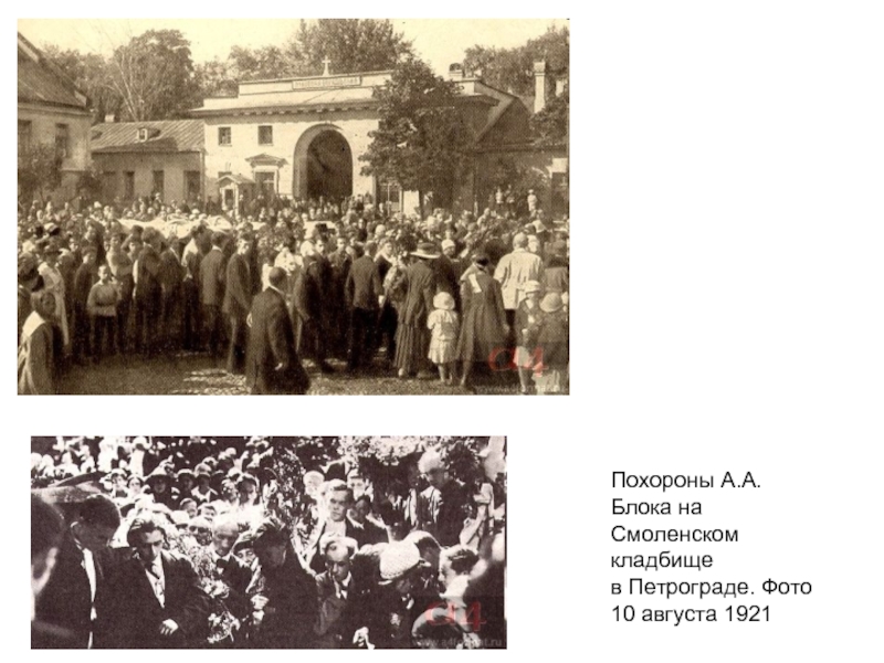 Похороны А.А. Блока на Смоленском кладбище в Петрограде. Фото 10 августа 1921