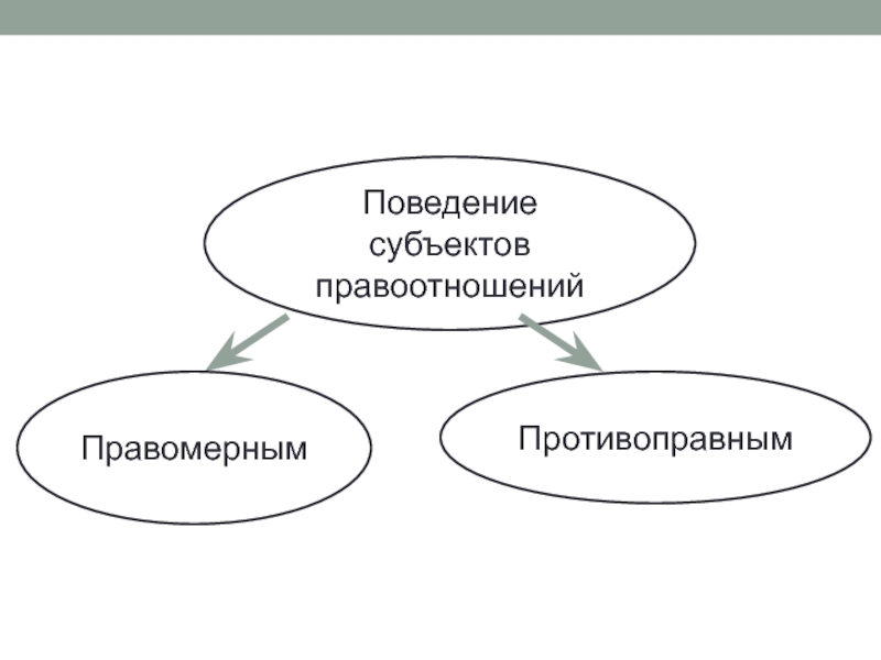 Экологические правоотношения план