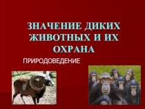 ЗНАЧЕНИЕ ДИКИХ ЖИВОТНЫХ И ИХ ОХРАНА