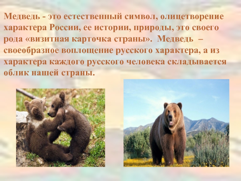 Неофициальный символ россии медведь. Медведь символ России. Медведи Синвел России?. Медведь символ России презентация. Неофициальные символы России медведь.